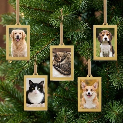 Albero natale foto - albero,