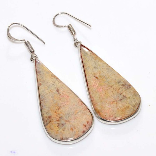 Orecchini corallo fossile